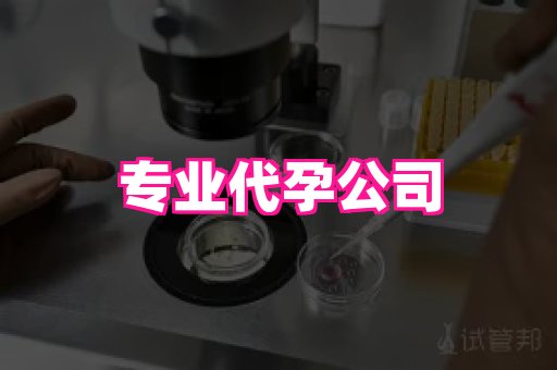 哈尔滨助孕网 4